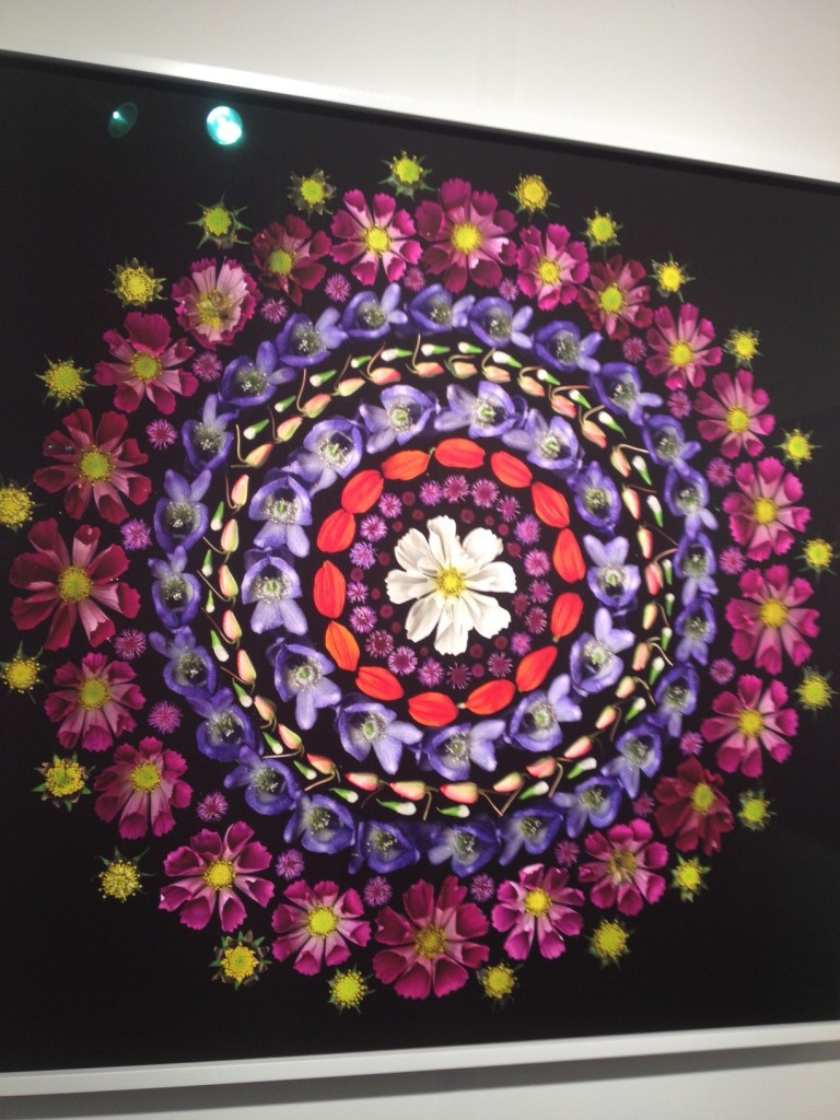 Portia Munson, White Cosmos 2011 Edition 1 of 3